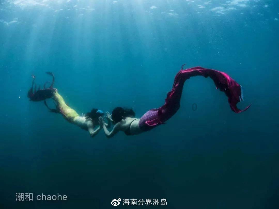 发现冷知识的高粱专用除草剂二氯莠去津喷后为何叶子发黄,可以自己变绿吗?平台,让你大开眼界!
